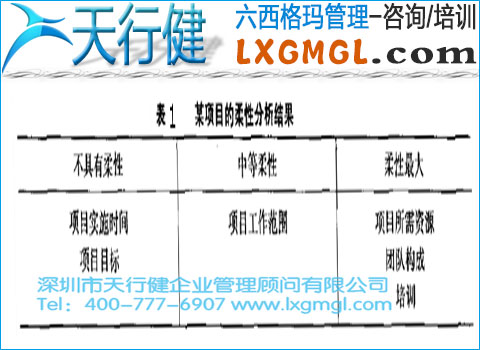 六西格瑪項目監控措施和方法