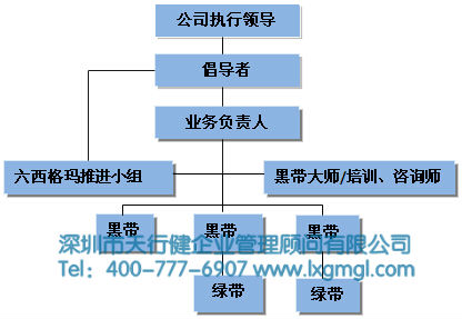 六西格瑪管理的組織團隊 如何建立持續推進六西格瑪管理的組織機構