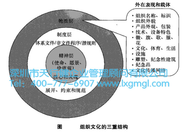 企業為什么要建立持續改進和創新的組織文化