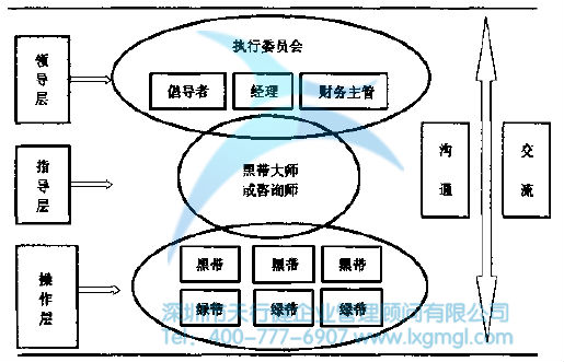 六西格瑪組織結構及團隊成員的作用