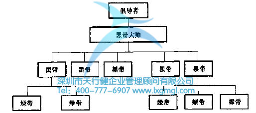 六西格瑪組織結構及團隊成員的作用