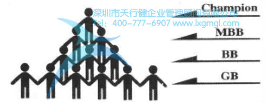 六西格瑪組織結構及團隊成員的作用