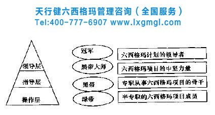 六西格瑪管理團隊組織模式創(chuàng)新