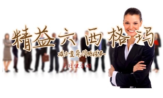 精益六西格瑪在方法、技術層面的實施