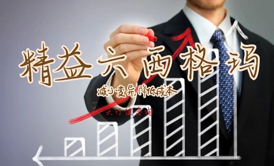 精益6西格瑪在減少軟件問題重復報告中的運用