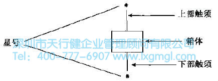 如何進行結構樹與箱圖分析