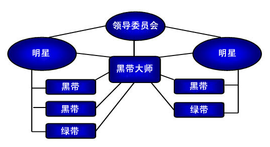 企業領導在實施六西格瑪管理中的職責有哪些